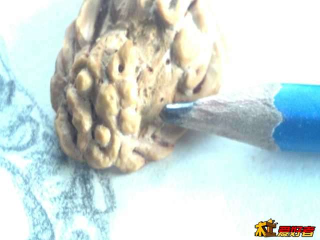 2013-10-14_10-27-19_448.jpg