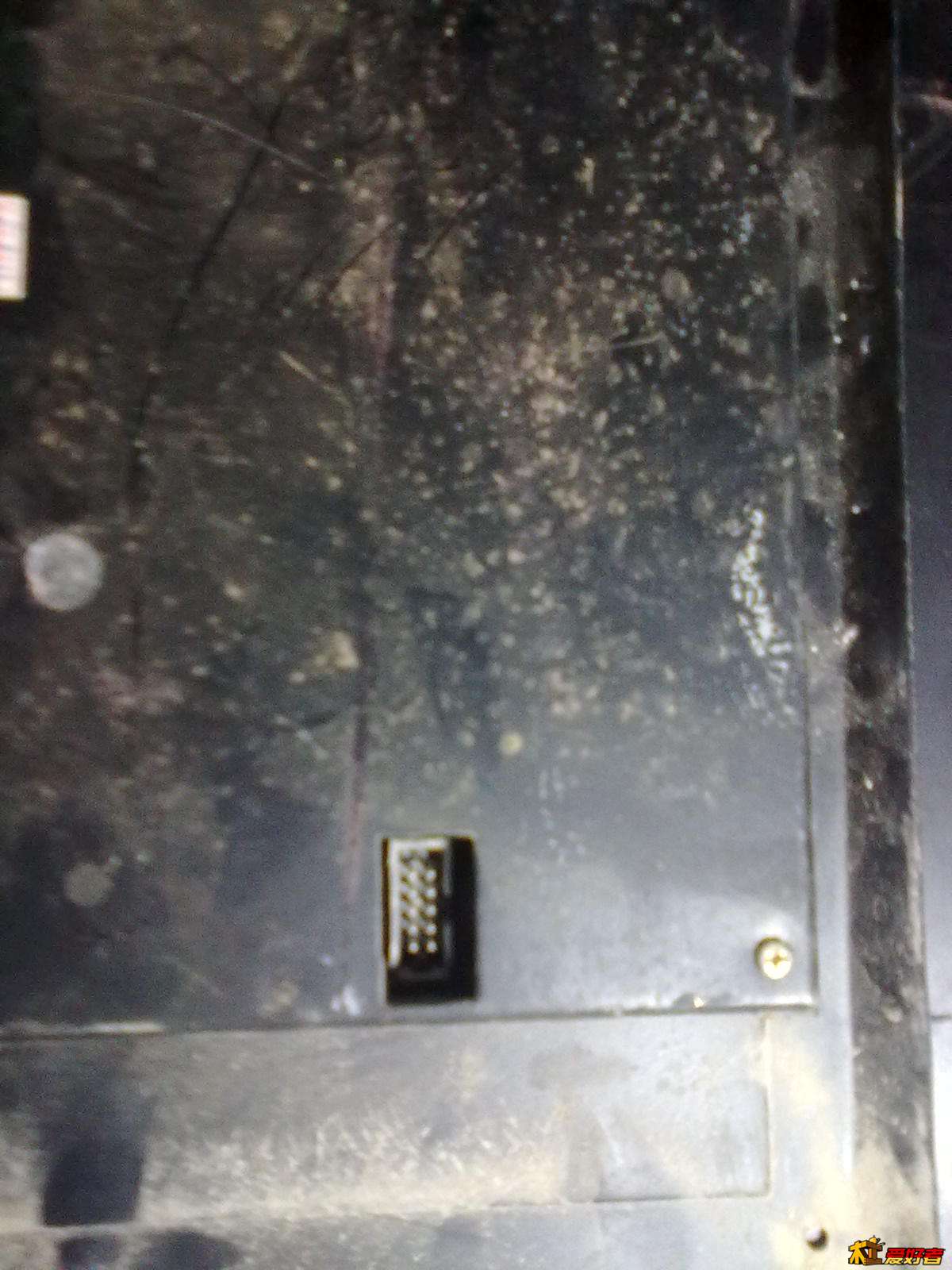 20100409579.jpg