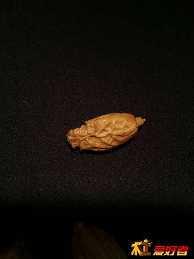 20131031_195436.jpg