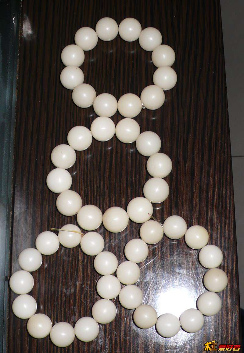PhoXo25.jpg
