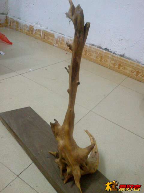 20131118469.jpg