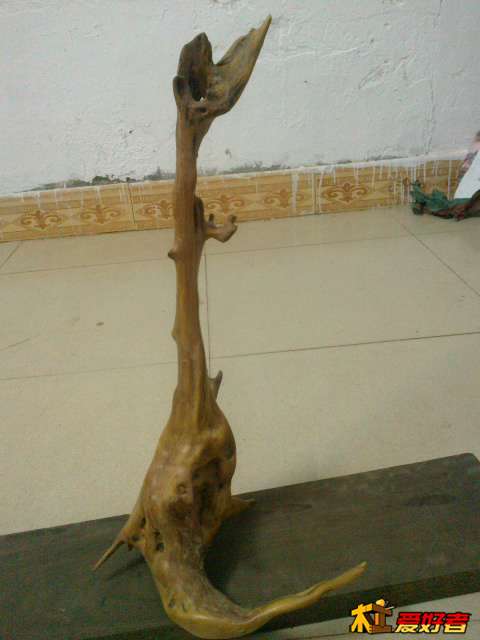 20131118470.jpg
