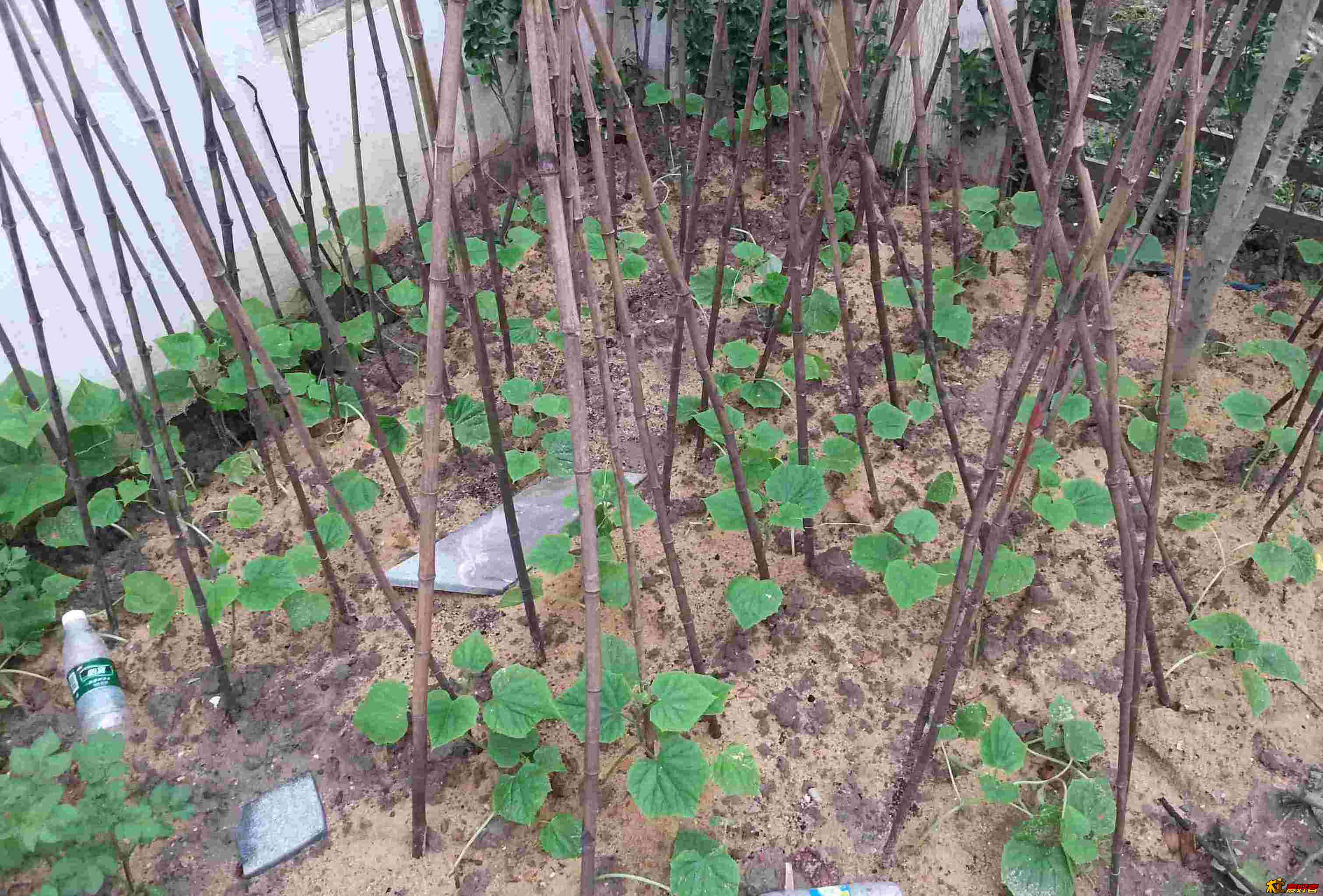 20130608_101348.jpg