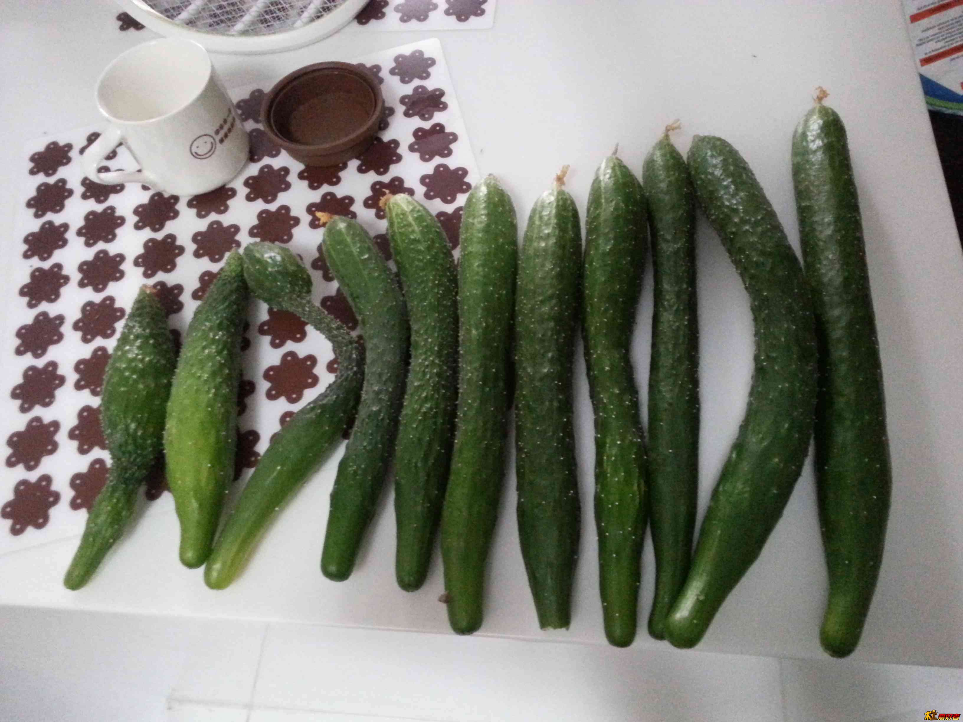 20130715_180014.jpg
