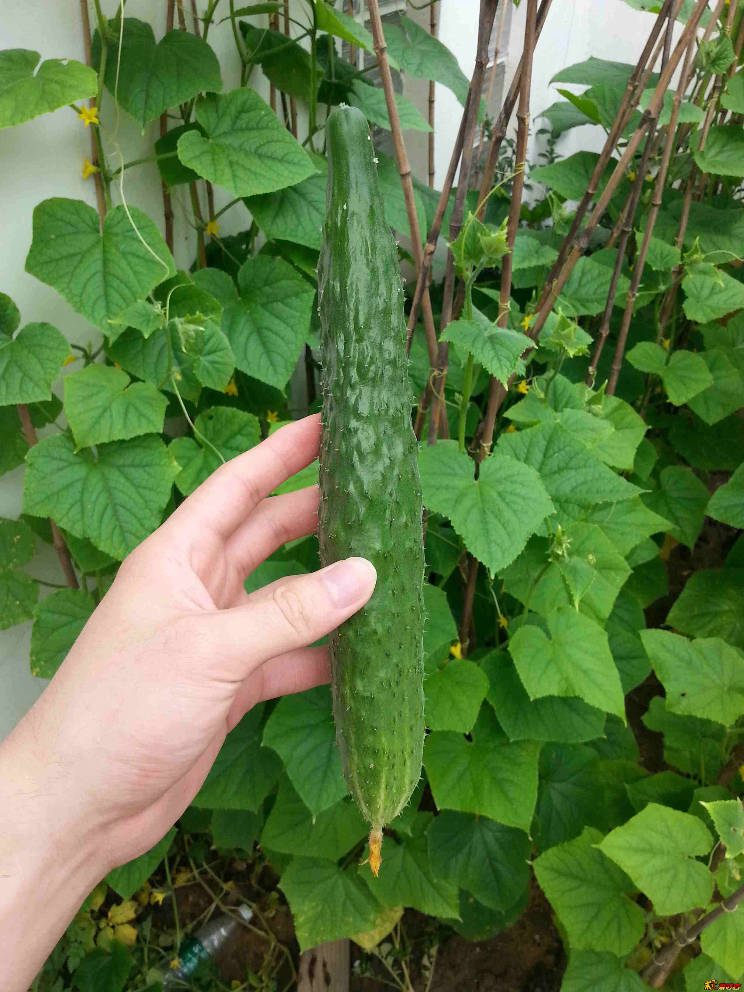 20130706_143226.jpg