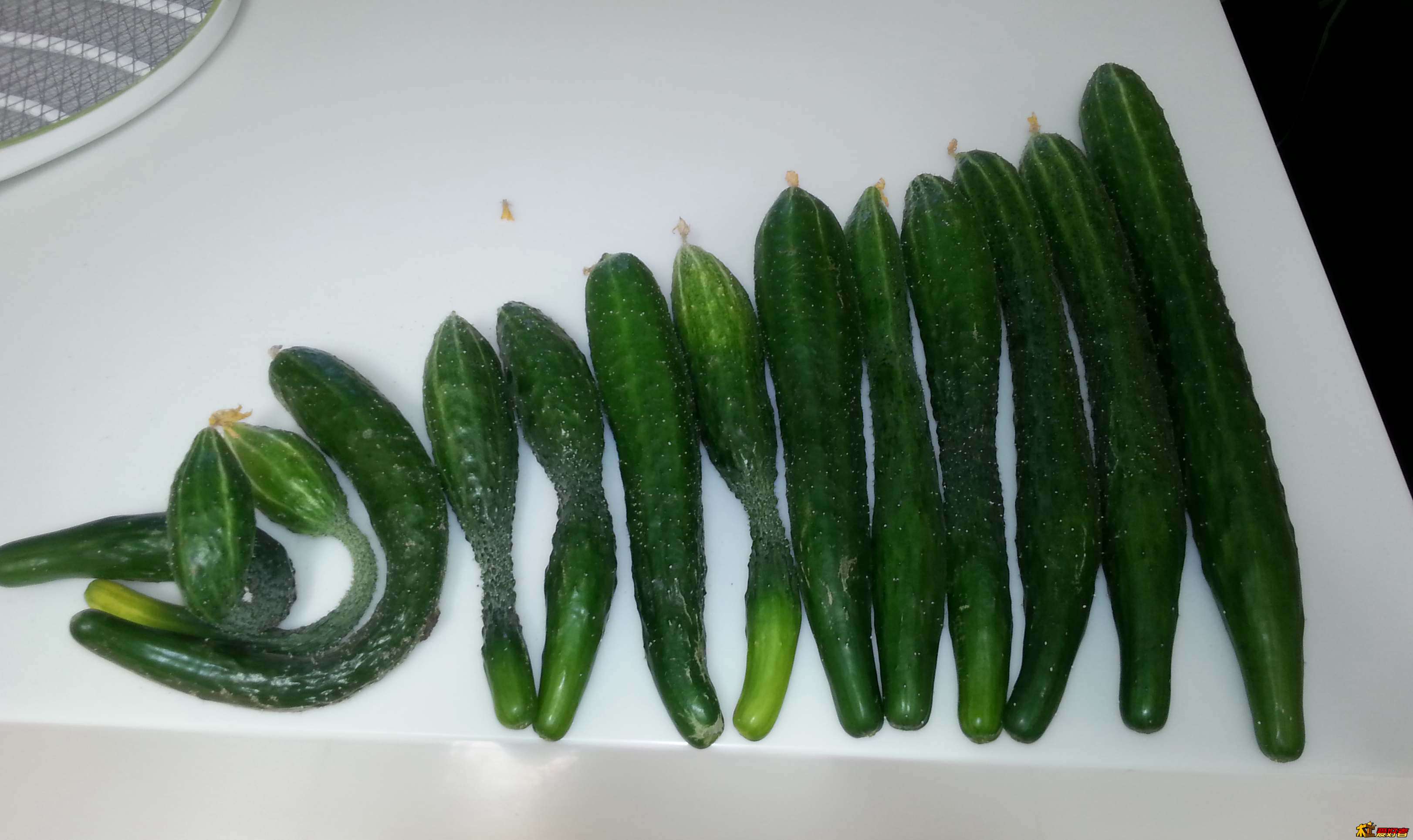20130723_122609.jpg