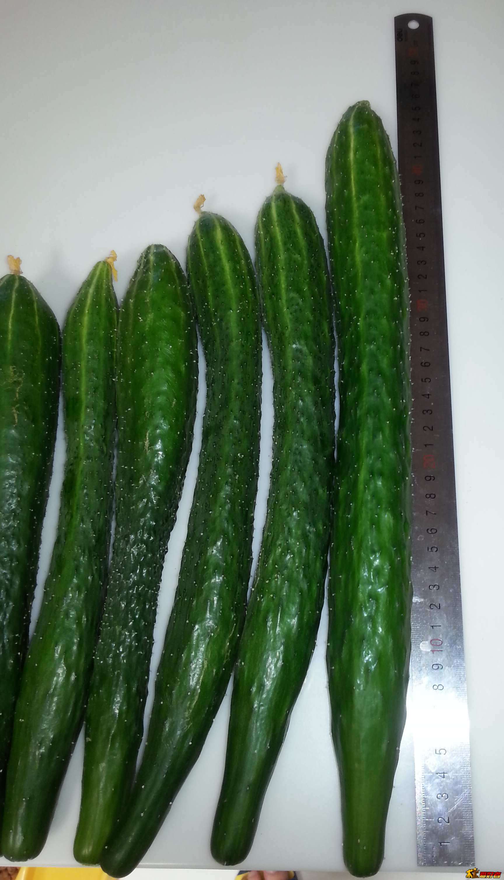 20130723_122645.jpg