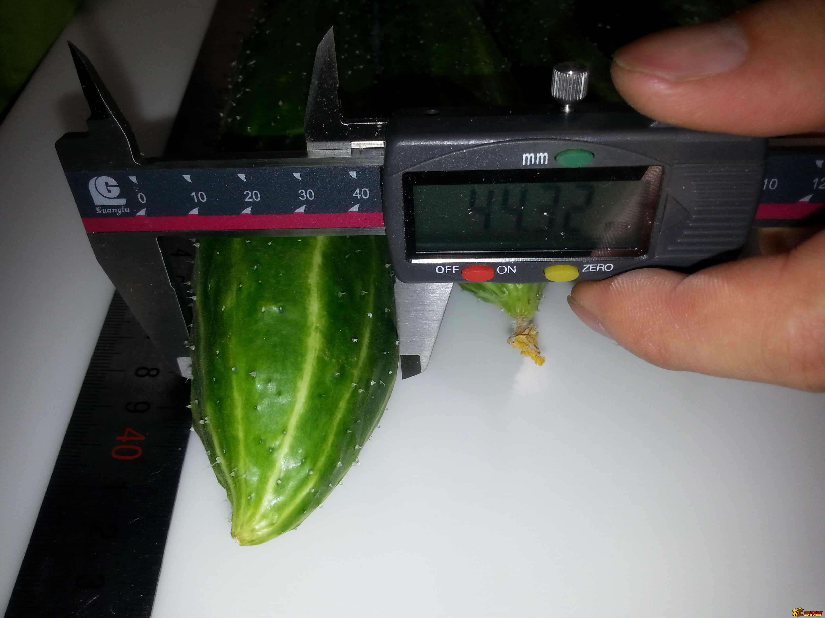 20130723_122720.jpg
