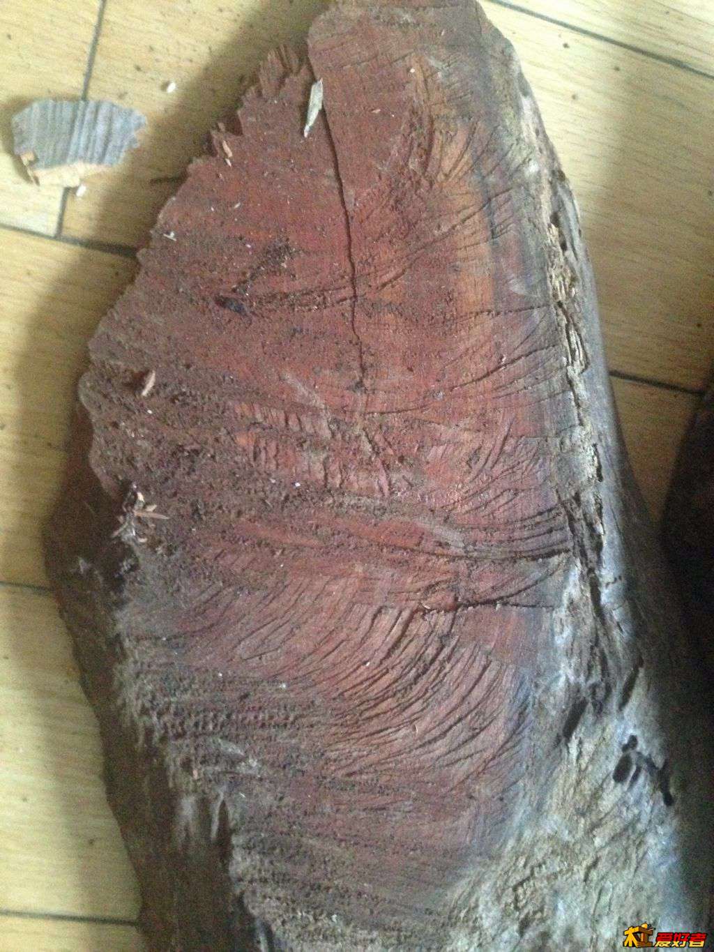照片 77151.jpg