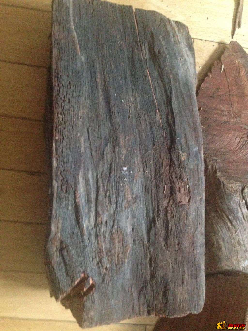 照片 77150.jpg