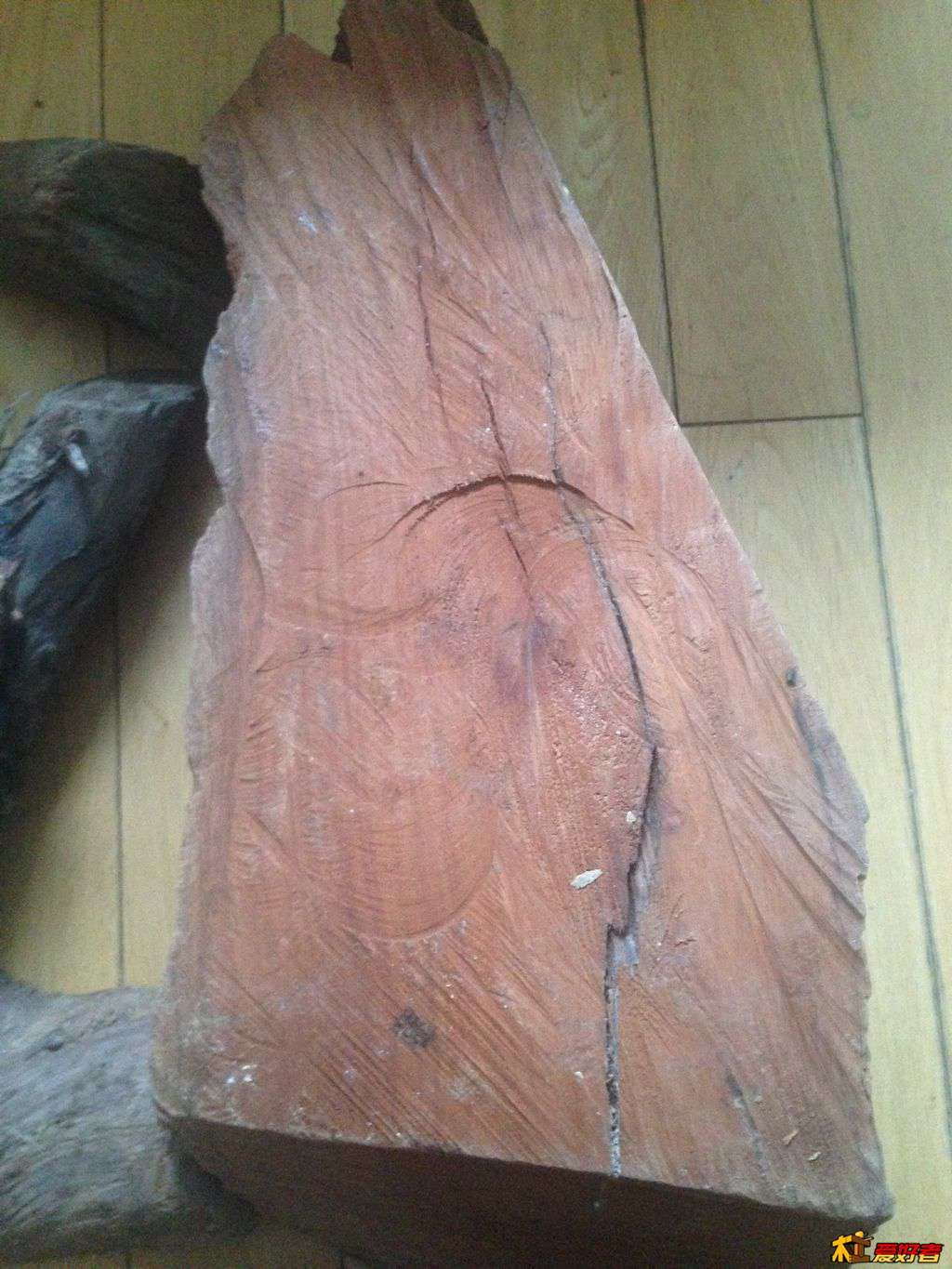 照片 77149.jpg