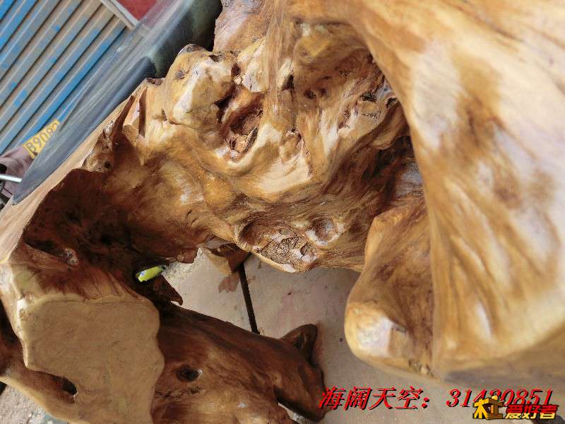 BigBull_CIMG7915_看图王.jpg