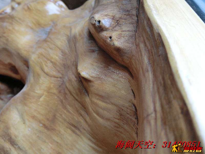 BigBull_CIMG7921_看图王.jpg