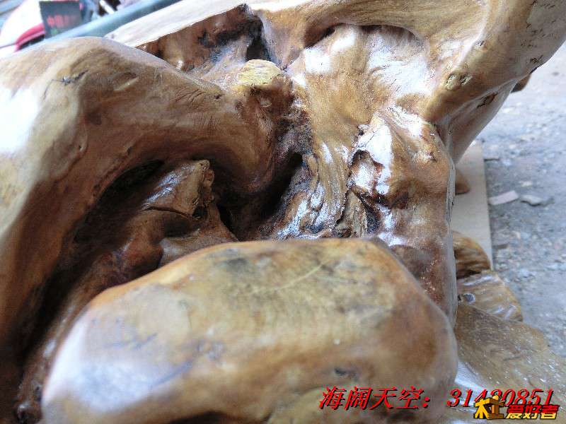 BigBull_CIMG7931_看图王.jpg