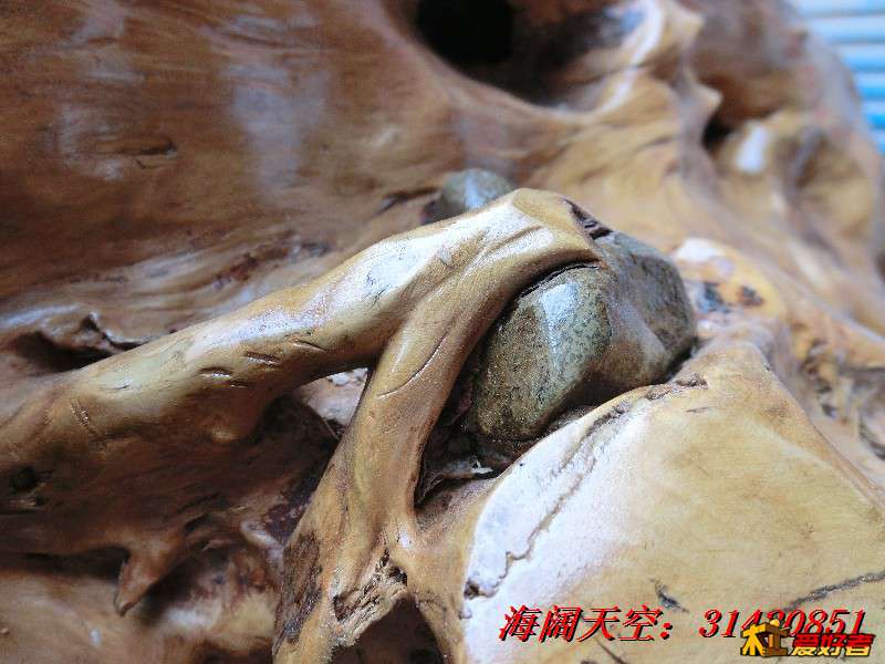 BigBull_CIMG7933_看图王.jpg