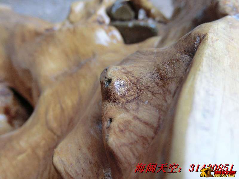 BigBull_CIMG7938_看图王.jpg