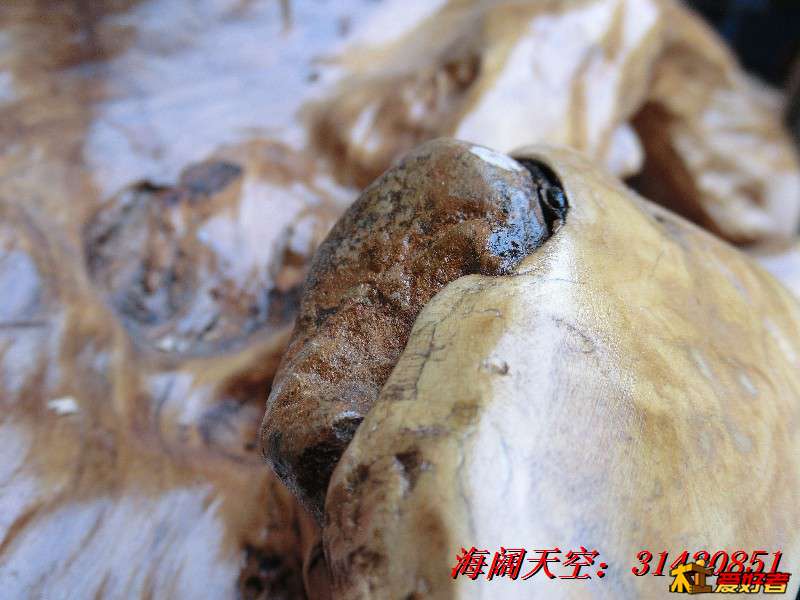 BigBull_CIMG7939_看图王.jpg