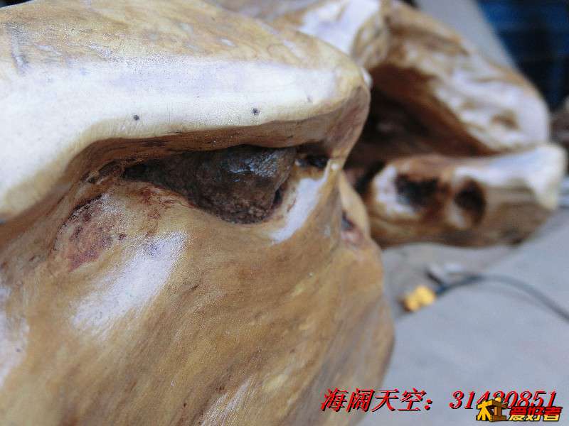 BigBull_CIMG7941_看图王.jpg
