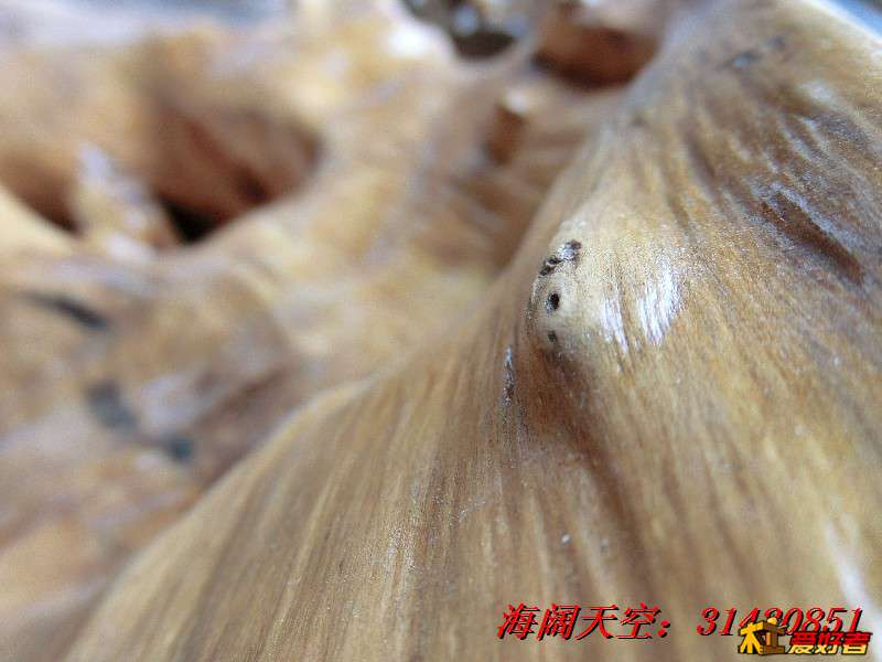 BigBull_CIMG7960_看图王.jpg