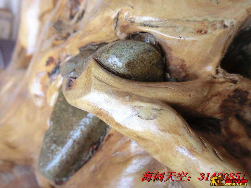 BigBull_CIMG7965_看图王.jpg