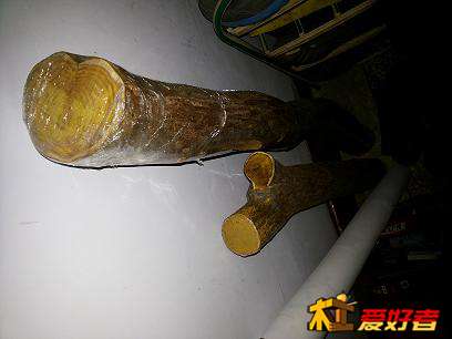 害怕干裂，我用塑料袋包住横截面了。