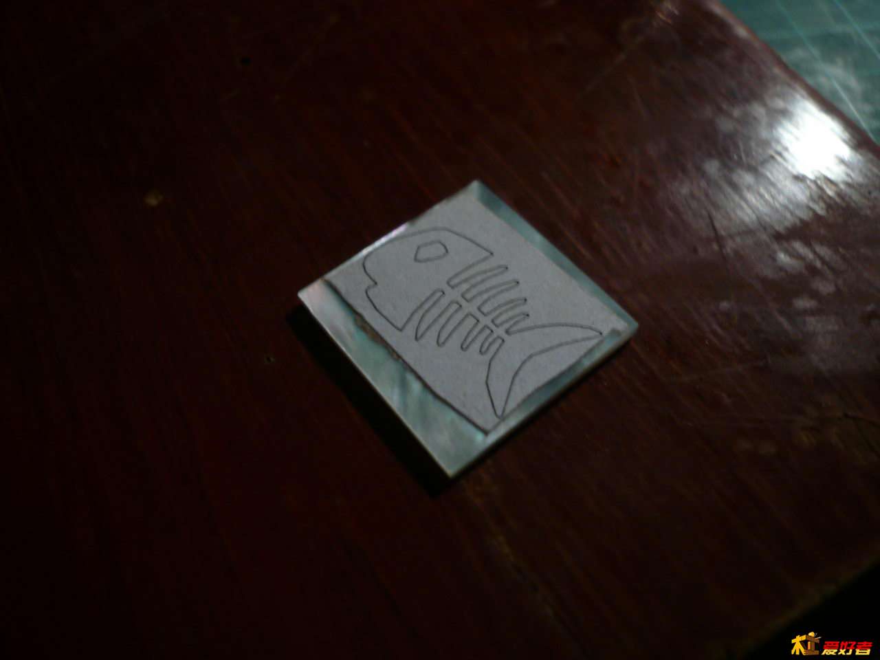 P1080227.JPG