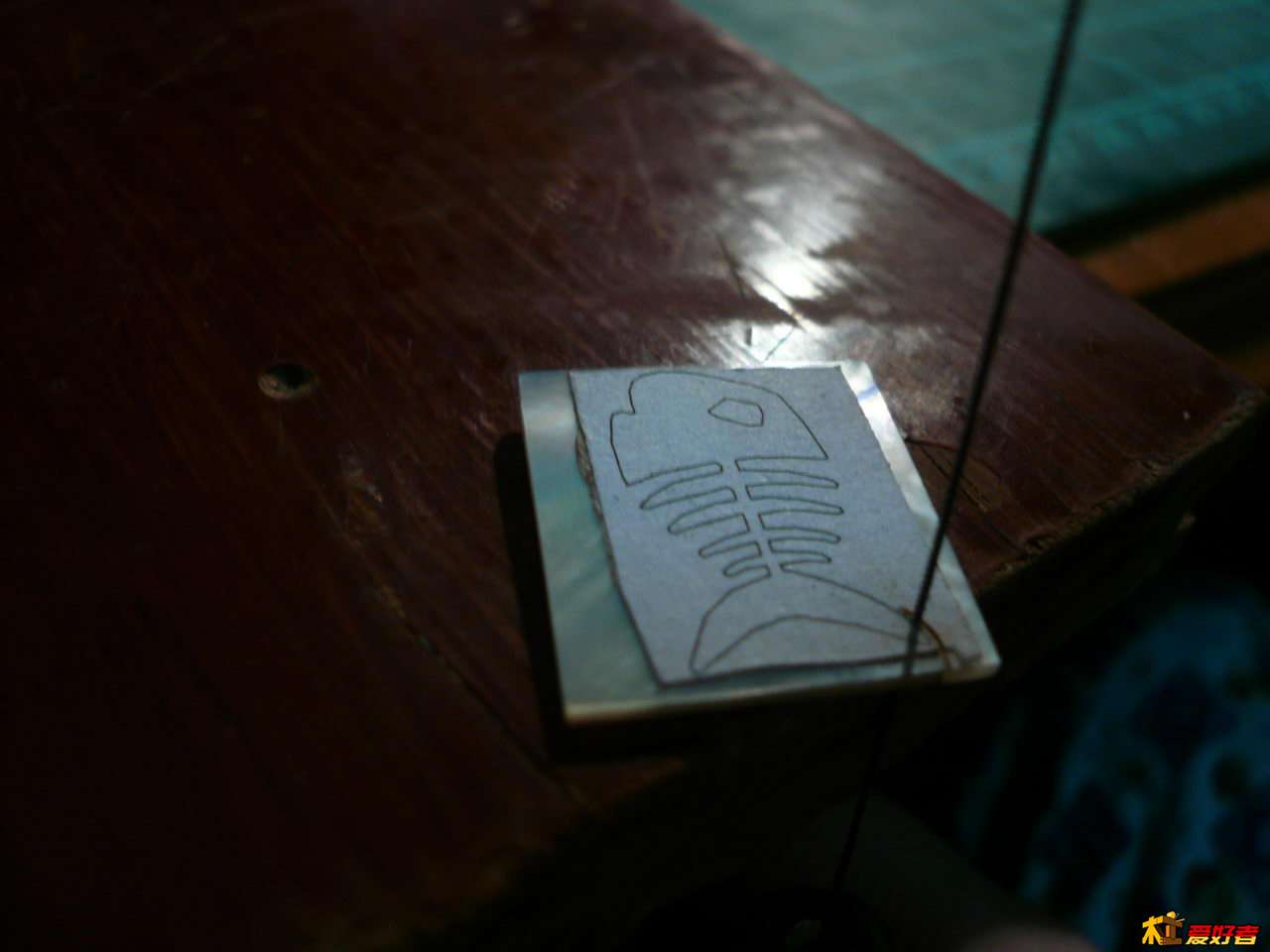 P1080229.JPG