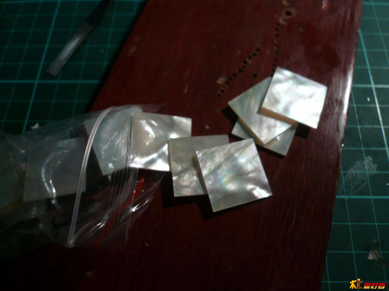 P1080234.JPG