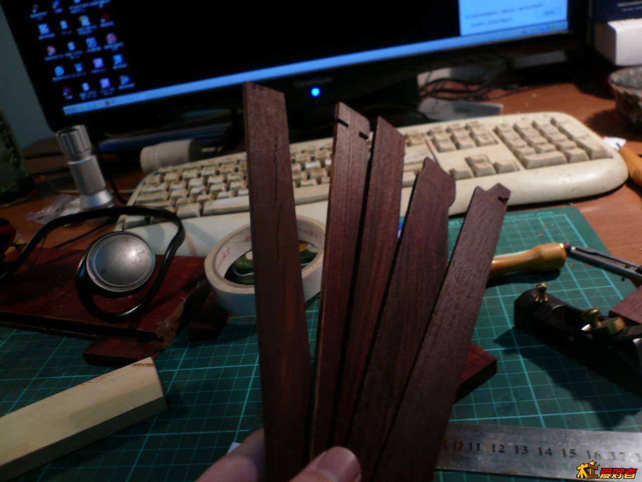 P1080254.JPG