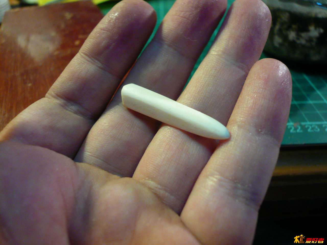 P1080441.JPG