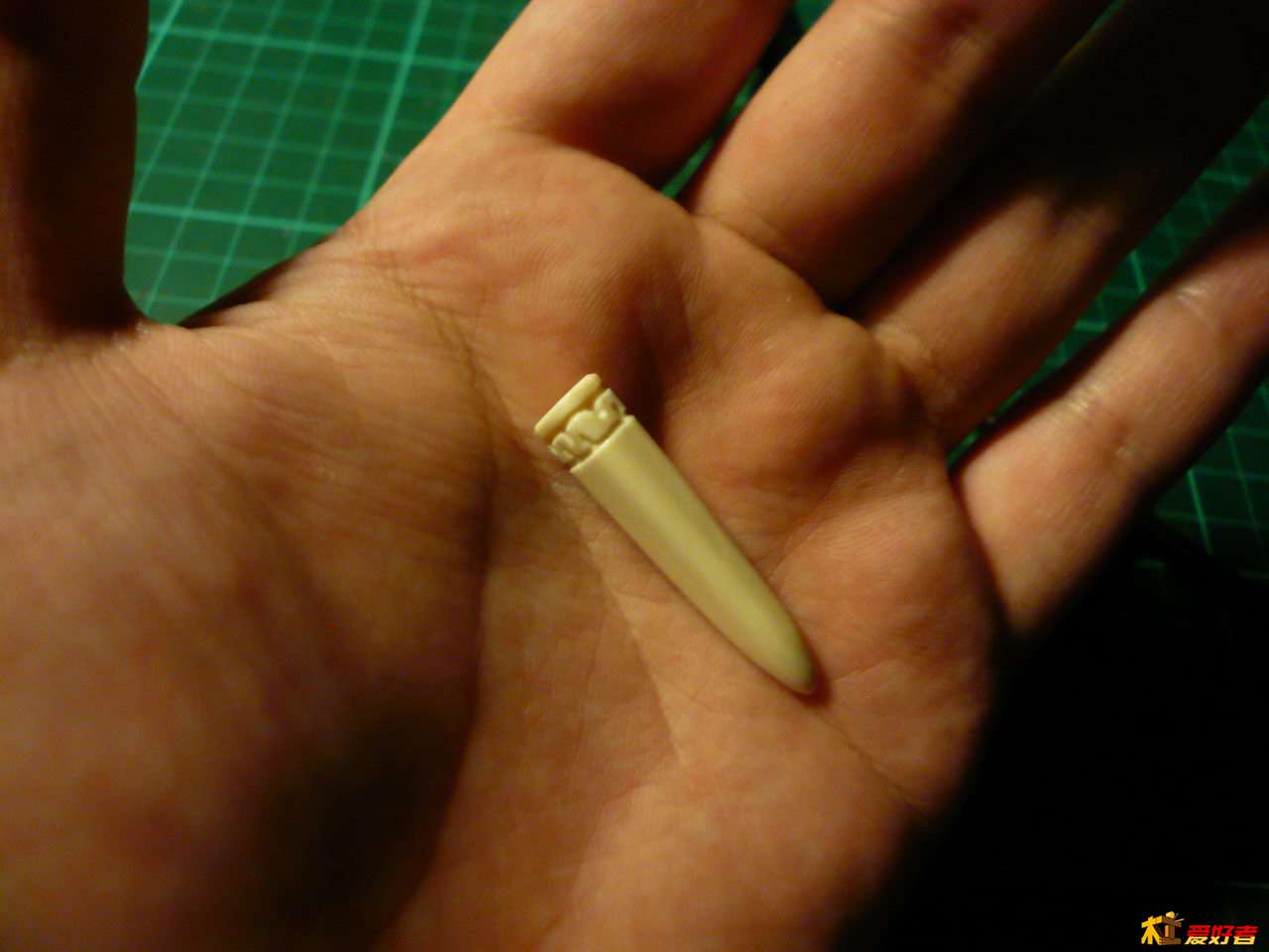 P1080444.JPG