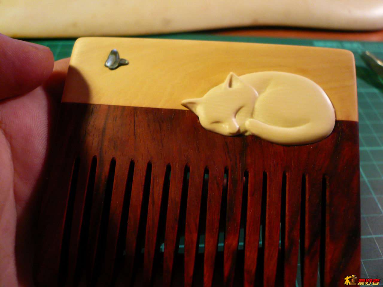 P1080478.JPG