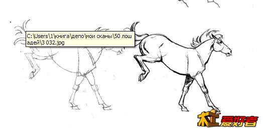 马3.JPG