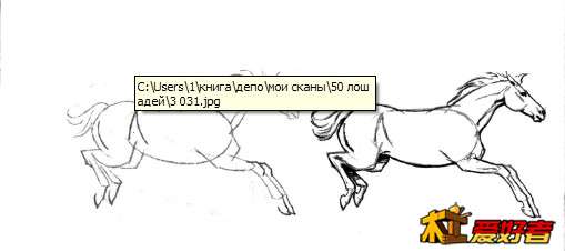 马2.JPG