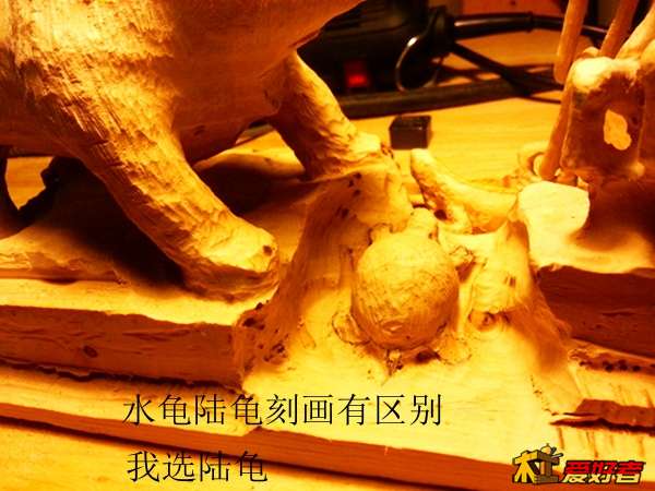 20140320_202807.jpg