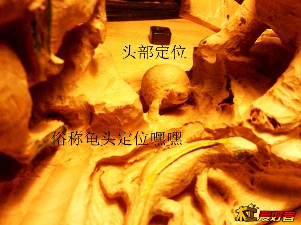 20140320_215852.jpg