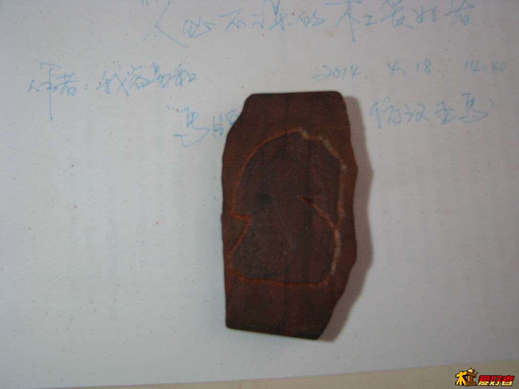 照片 015.jpg