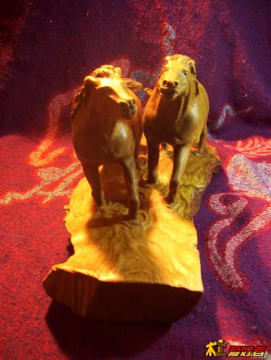 100_1387.JPG
