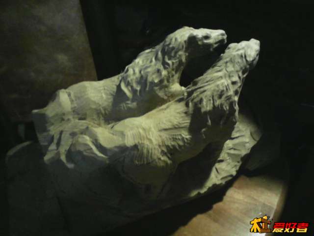 IMG_20140415_211629.jpg