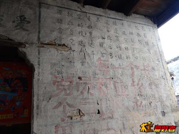 132713dofck2vx8jzqmdql.jpg
