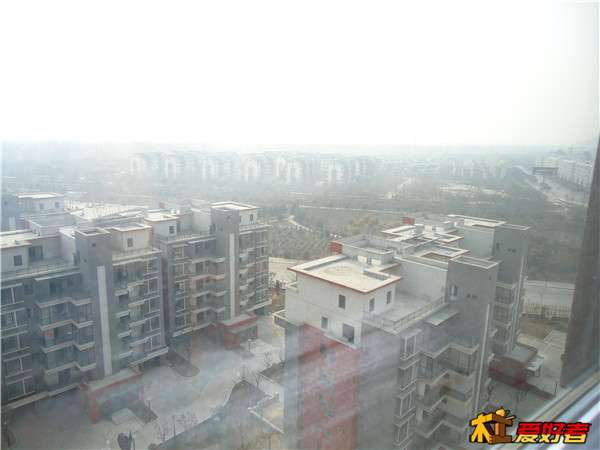 DSC01636.jpg