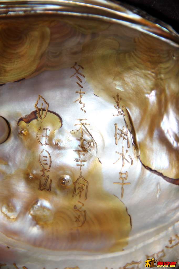 IMG_2010_缩小大小.JPG
