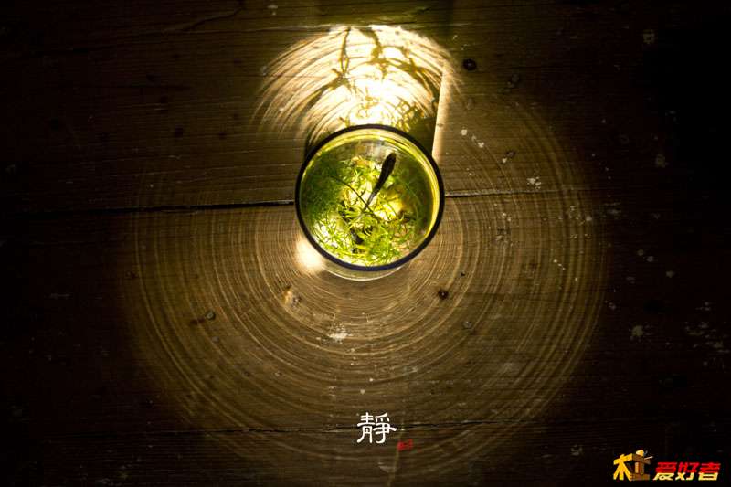 静