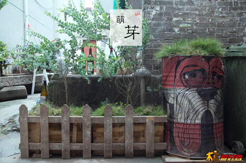 萌芽