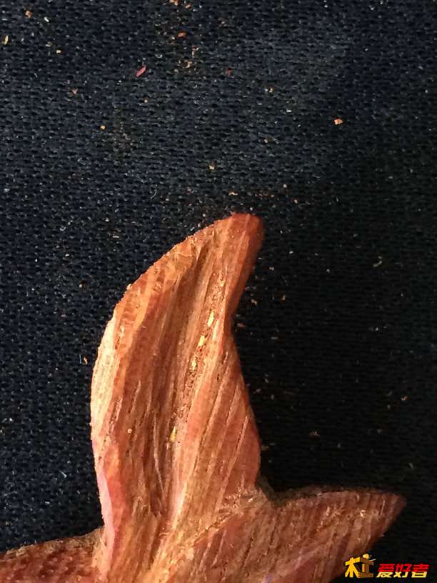 自己以为是金星。。。结果被无良小侃调侃了