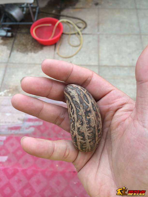 淘宝买的歪瓜裂枣千眼一枚，本来打算车珠子玩的