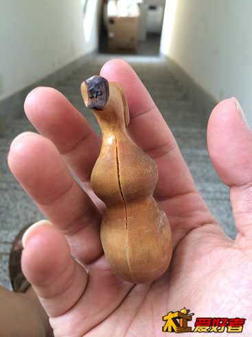 刷了油以为能防裂，结果还是裂了