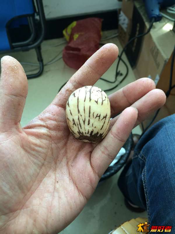 挑了一个性质有点偏的象牙果，感觉有点像脚丫，就是有点偏厚