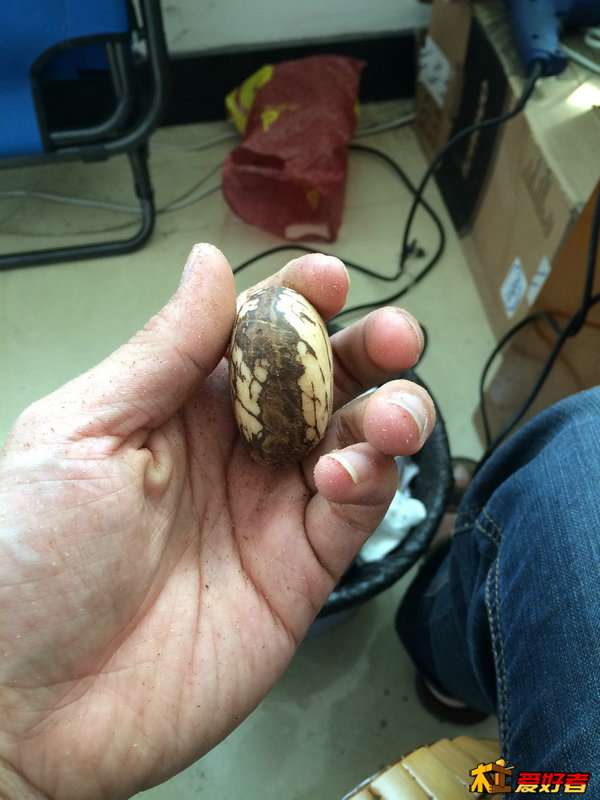 去皮，粗打磨