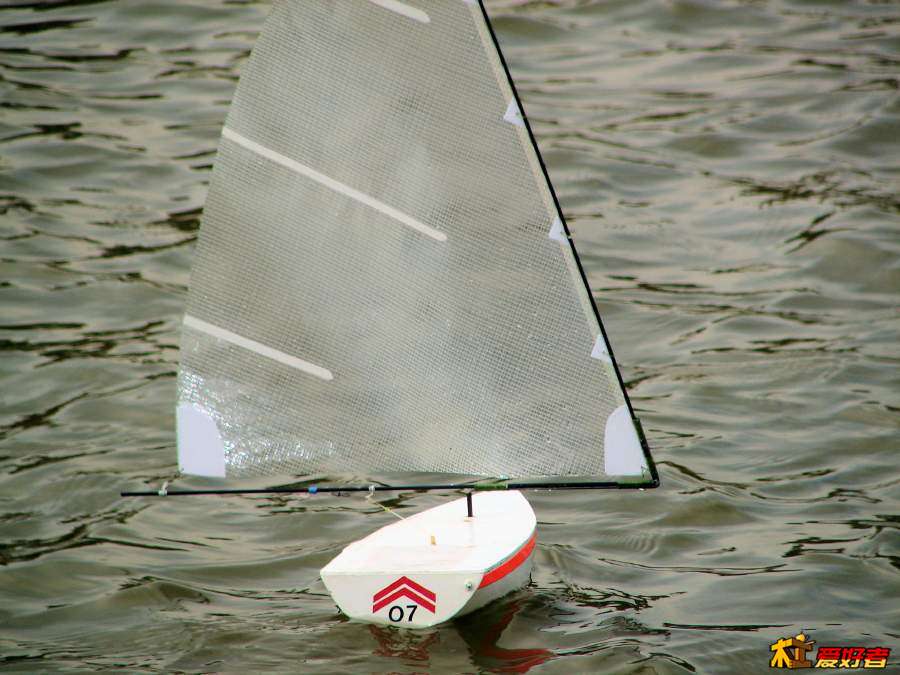 49.jpg
